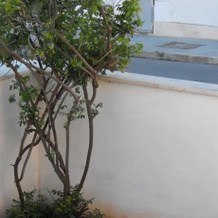 Fiorenza Lodge, Olmedo — photo 2