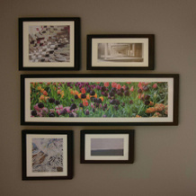 Hampton Inn & Suites Philadelphia/Media, 梅迪亚 — 照片 3