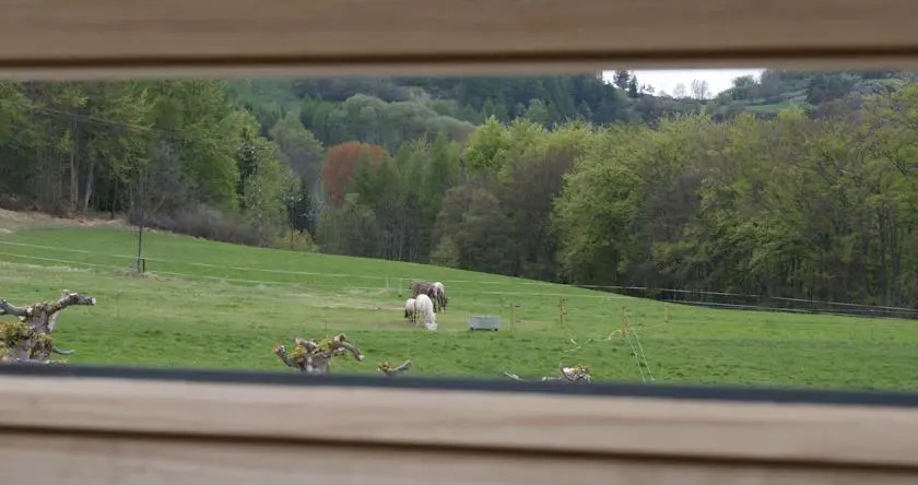 Domaine le Prayet, Ubaye-Serre-Ponçon — photo 1