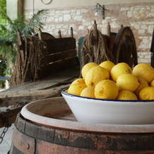 Palazzo Rosso Farm, Longare — photo 5