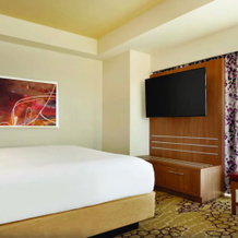 The Landing Hotel at Rivers Casino Schenectady, 斯克内克塔迪 — 照片 5