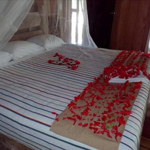 Eco-Hotel Sak Nok, 弗龙特拉科罗萨尔 — 照片 4