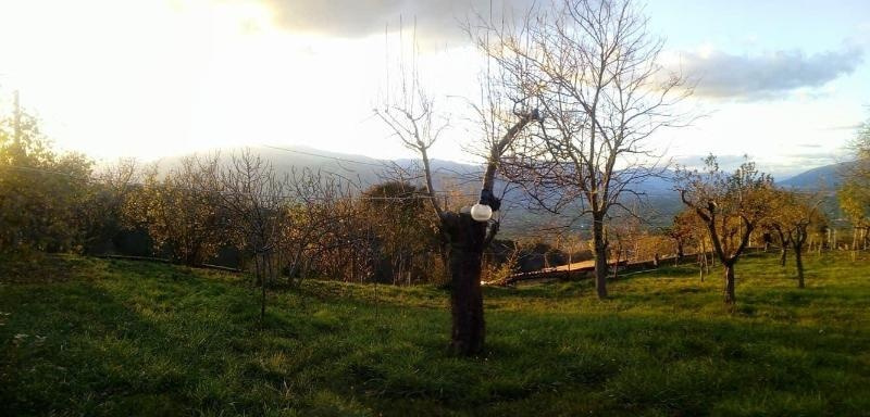 Casavacanze La Vigna, Montesano sulla Marcellana — photo 1