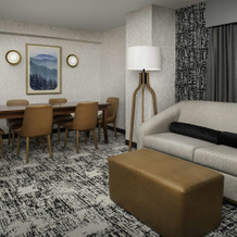 Embassy Suites By Hilton Dulles North Loudoun, Эшберн — фото 5