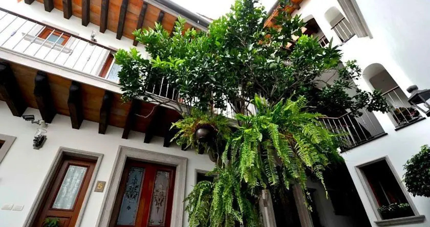 Hotel en Xalapa Posada de las Flores, 哈拉帕 — 照片 1