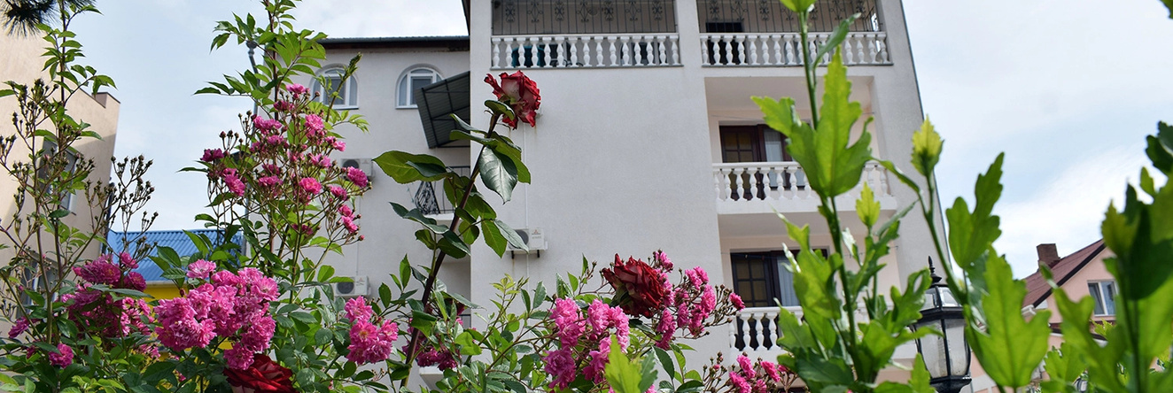Сhayka Hotel, 佩索奇诺耶 — 照片 1