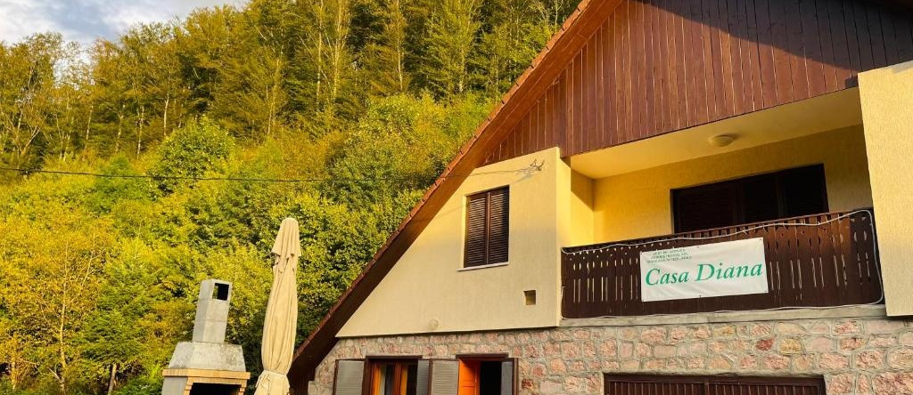 Casa De Vacanta Diana Moneasa, Монеаса — фото 1