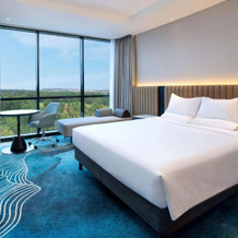 Novotel Yogyakarta International Airport Kulon Progo, Sindutan — photo 3