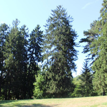 Gîte du château de Feschaux, Jura, 维勒讷沃-苏-皮蒙 — 照片 4
