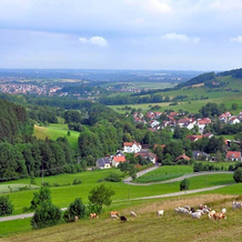 Landgasthof Hölzle, Вальдштеттен — 照片 5