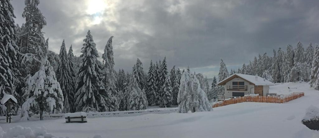 Chalet N. 5, Карано — фото 1