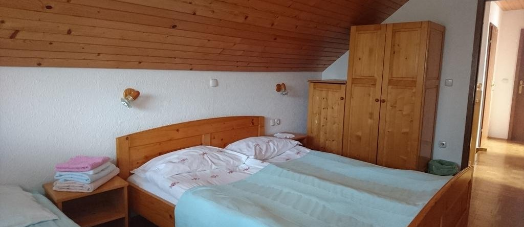 Apartmaji Marinka Hodnik, 博希尼镇 — 照片 1