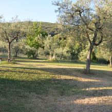 Casa Franceschini, Поджио Миртето — фото 2