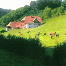 Comfy Apartment in Salmensbach near River, Hofstetten — photo 3