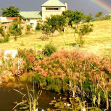 Five Assegais Country Estate, Машадодорп — фото 5