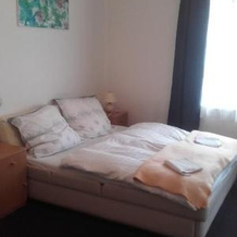 Guest House Nad Berounkou, 兹贝奇诺 — 照片 4