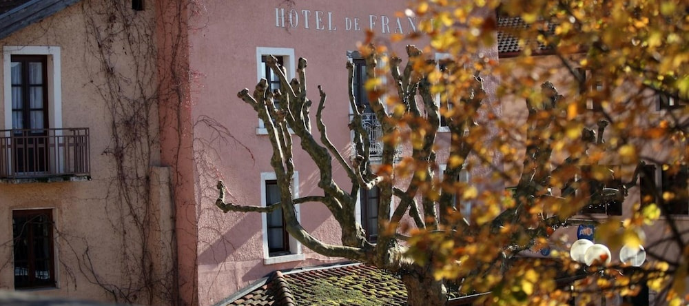 Logis Hôtel de France, La Cote-Saint-Andre — photo 1