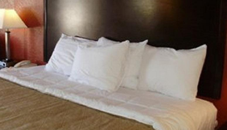 Quality Inn & Suites Thibodaux, 蒂博多 — 照片 1