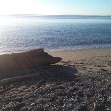The Cottage at Lagoon Point, Greenbank — photo 3