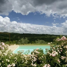 La Viscontina, Lugnano in Teverina — photo 4