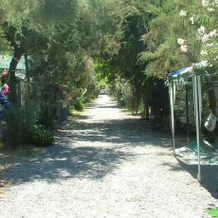Villaggio Camping Sambalon, 赞布罗内 — 照片 5