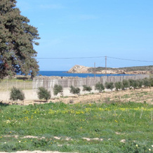 Antiparos Diamond, Antiparos — photo 2