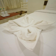 Hotel Palmyra Grand Inn, Тирунелвели — фото 4