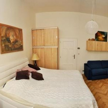 Luxury Apartment Novobranska, 布尔诺 — 照片 2
