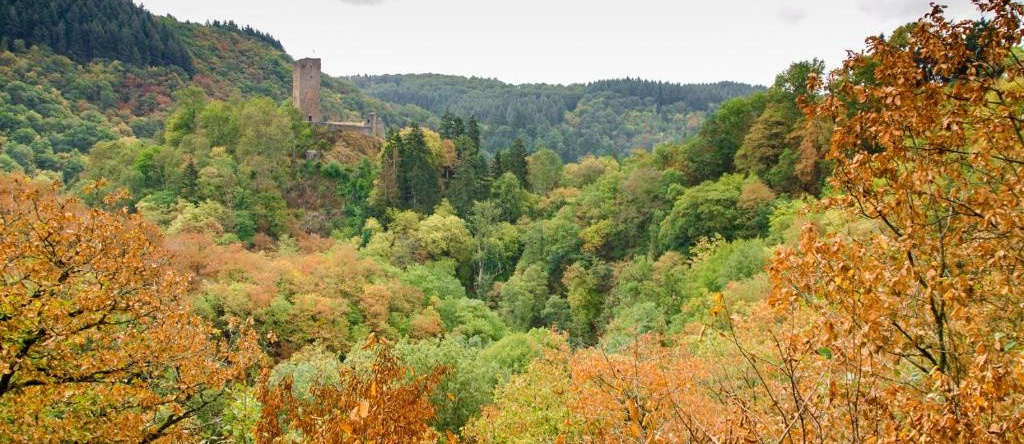 Ferienhaus Vulkaneifel Kopp, 科普 — 照片 1