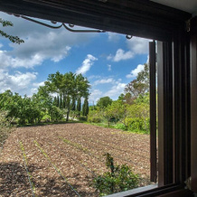 Agriturismo Sorgituro, 波斯蒂廖内 — 照片 5