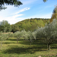Les Gîtes Du Moulin De La Passere, Эвс — фото 3