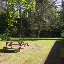 Sandys Beach House, 海沃德 — 照片 3