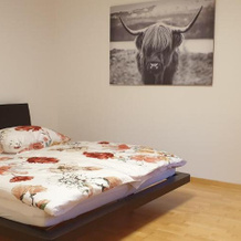 Ferienwohnung Heidi, Absam — photo 4
