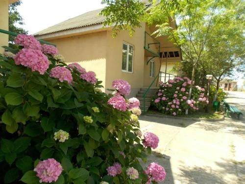 Hotel Lashtani, Григолети — фото 1