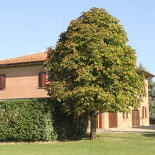 Giardino Di Mia, Calderara di Reno — photo 5