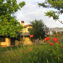 La Vecchia Torre, Canino — photo 4