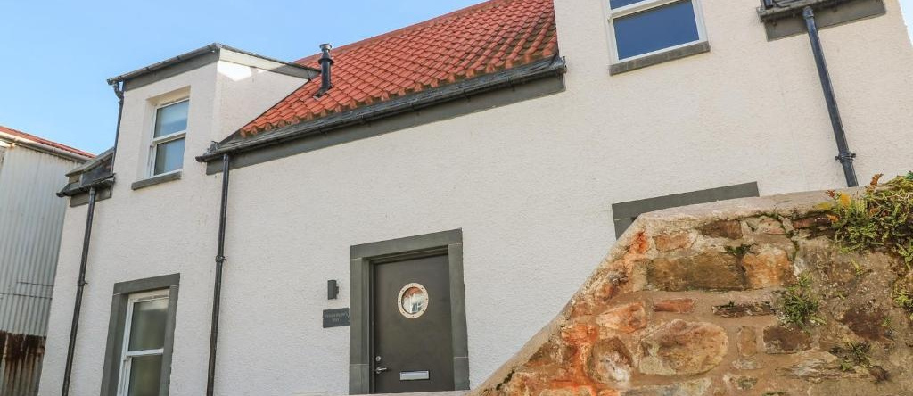 Sandpipers, 克雷尔 — 照片 1