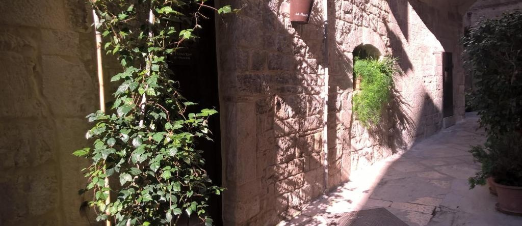 La Piccola Torre, Bisceglie — photo 1