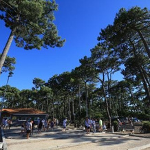Camping Campole Plage Sud, Бискаррос — фото 2
