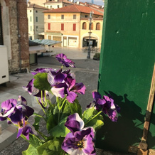 B&B Ca' Garibaldi, Bassano del Grappa — photo 4