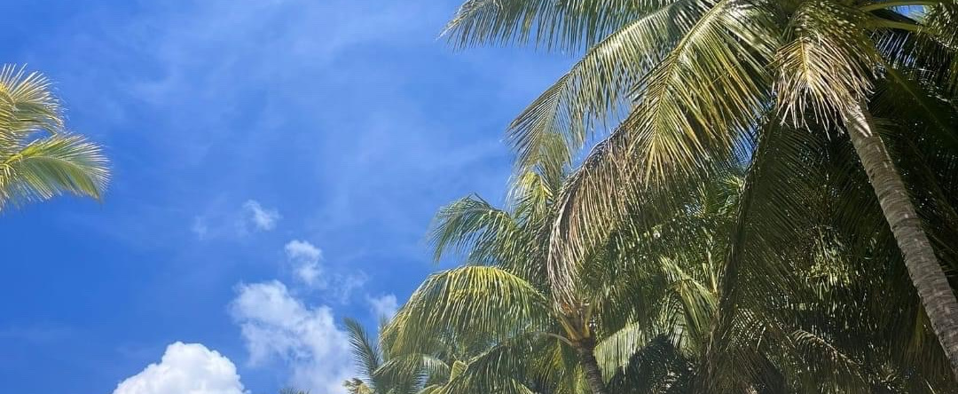 Royal Park Mauritius, Балаклава — фото 1