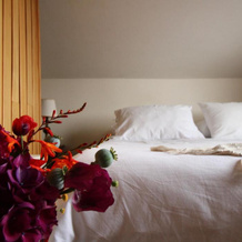 Hotel Boutique Casa Werner, Фрутильяр — фото 3