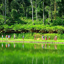 Amaana Plantations Resort, Vagamon — photo 5