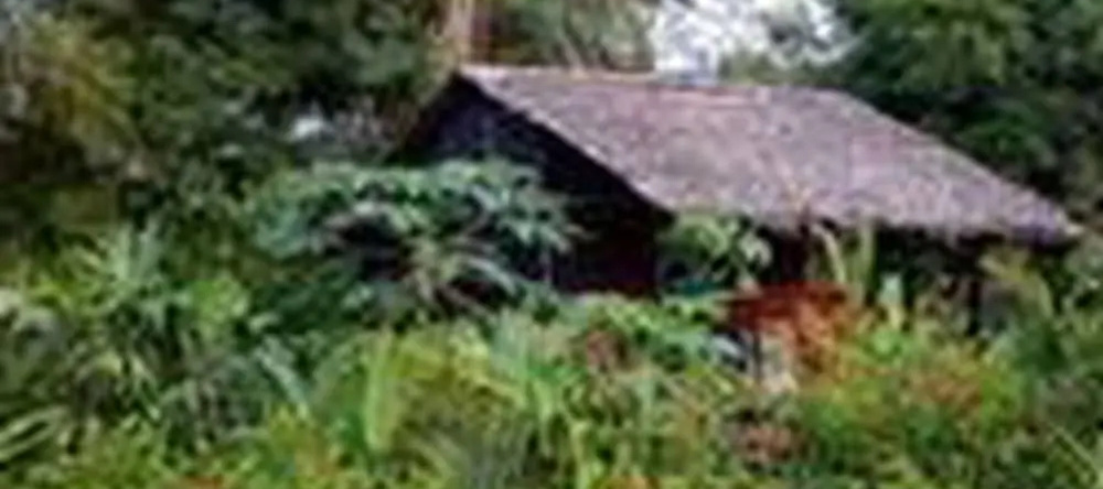 Rio Mar Bahía Solano Choco Colombia, 巴伊亚索拉诺 — 照片 1