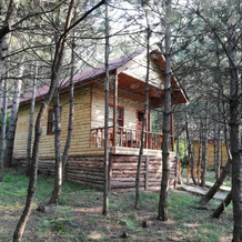 Mengen Cam Pinari Doga Evleri & Restaurant, Mengen — photo 3
