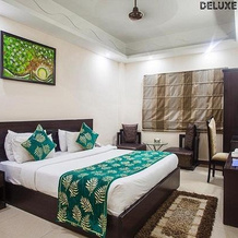 Hotel Palm Tree, Aligarh — фото 4