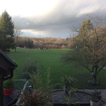 Rosendale B&B, Chailey — photo 2