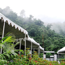 Camp Aqua Forest, 瑞诗凯诗 — 照片 4