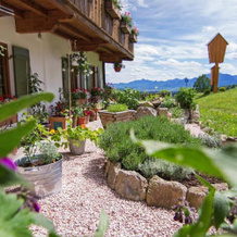 moor  mehr - BIO Kur-Hotel Bad Kohlgrub, 巴特科尔格鲁布 — 照片 4