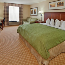 Country Inn Suites Birch Run Frankenmuth, Берч-Ран — фото 3